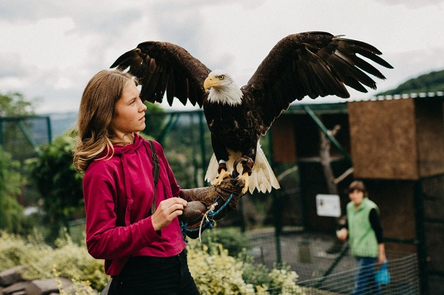 stiavnicke bane titulka 1024x682 | Maľba