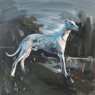 Greyhound
