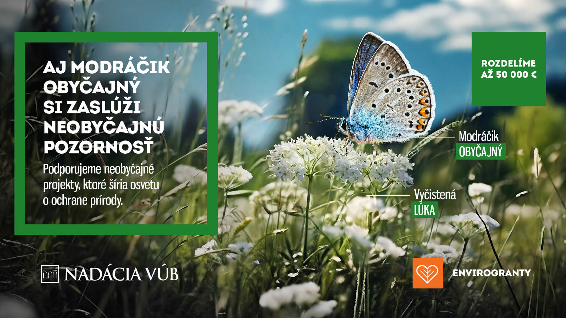 Modráčik obyčajný