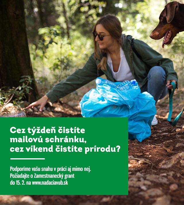 vub 21 0106 interka granty web mobil 640x715 v01 | Maľba