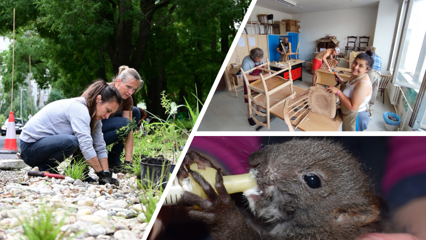 Fotografie výherných organizácii