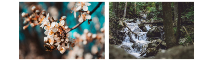 atlas 2022 do textu | Maľba