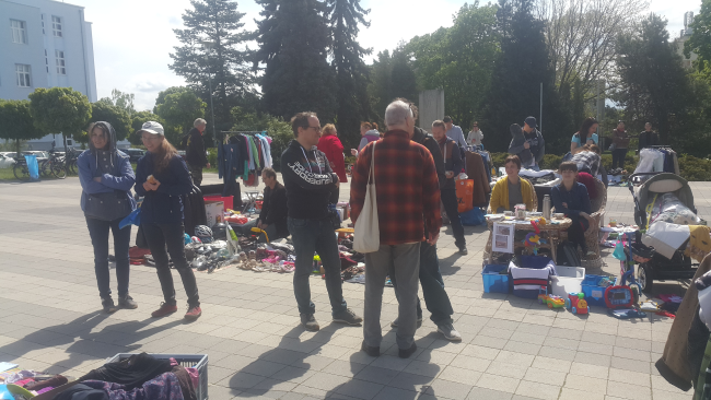 Modranský blšák v Claudiane