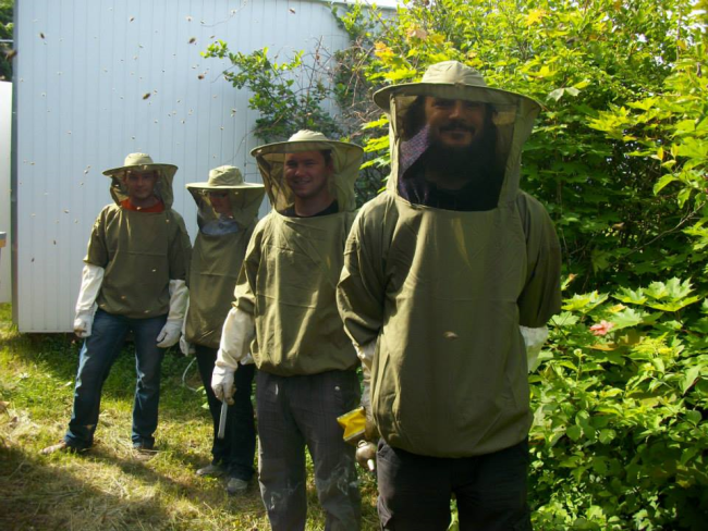 Včelárske slávnosti