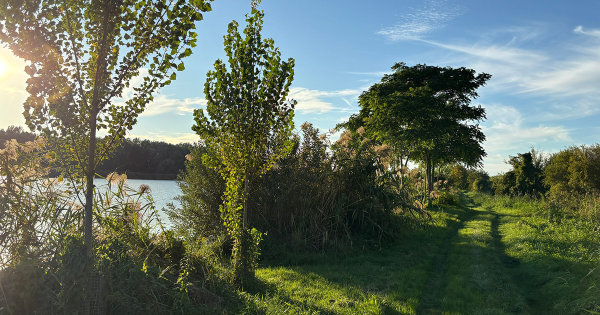 ulanska mokrad | Maľba