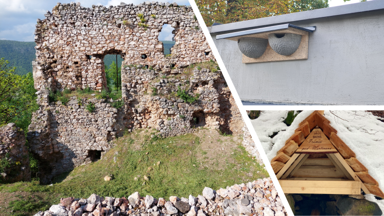 Envirogranty 2022 - víťazné projekty