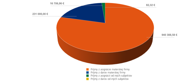 podiel druhov prijmov nadacie vub 2022 | Maľba