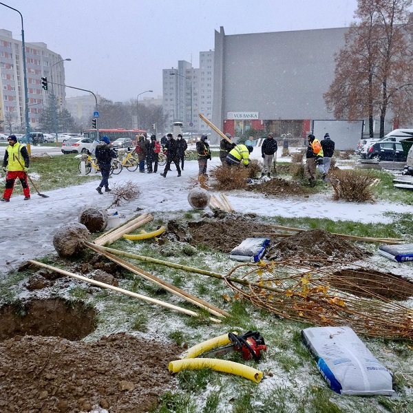 10000 stromov pre ba 600x600 | Maľba