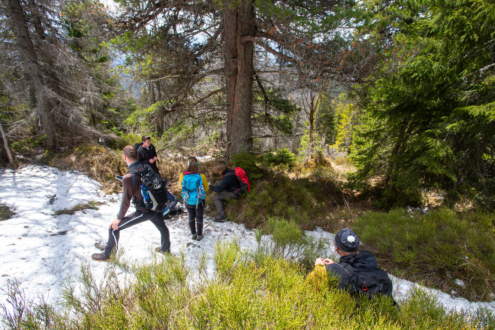 Lesmír Sprevádzanie prírodou