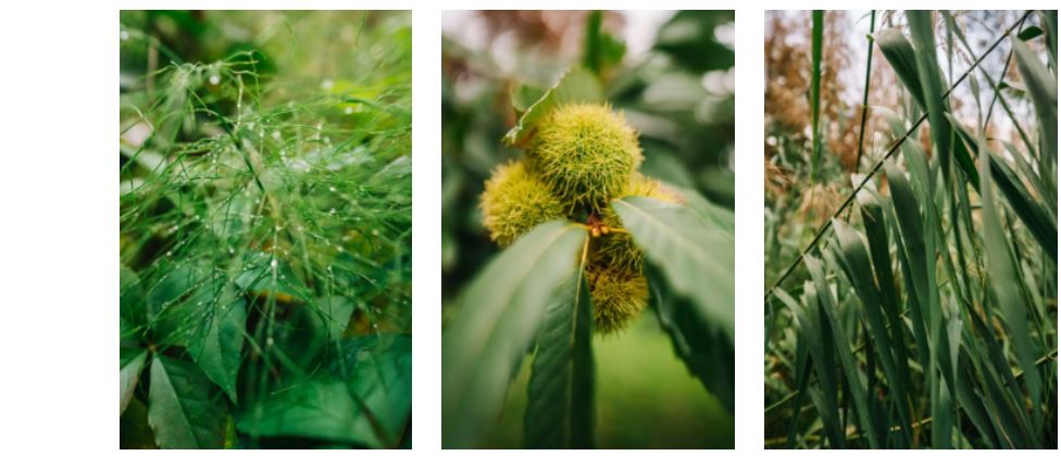 prugerka 2021 | Maľba